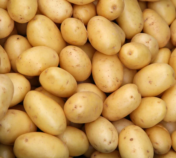 Jonge aardappelen Stockfoto