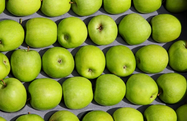 stock image Green apples