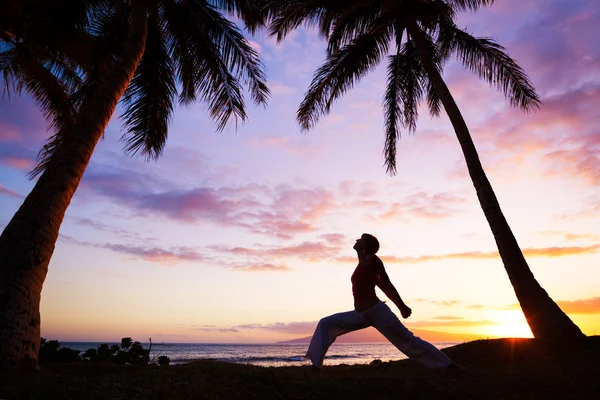Silhouet van een vrouw mooi yoga — Stockfoto