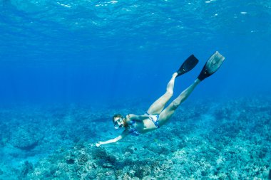 kadın tropikal okyanusta dalış
