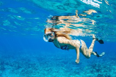 Woman Snorkeling in Tropical Ocean clipart