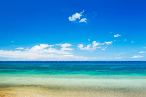 Tropisk strand — Stockfoto