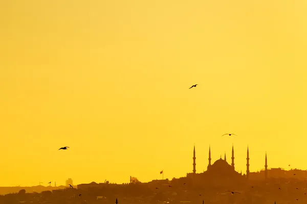 Мечеть на заході сонця — стокове фото