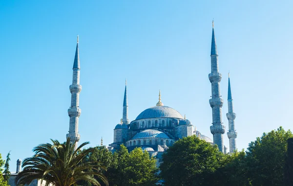 Prachtige blauwe moskee — Stockfoto