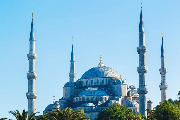 Красиві Блакитна мечеть — стокове фото