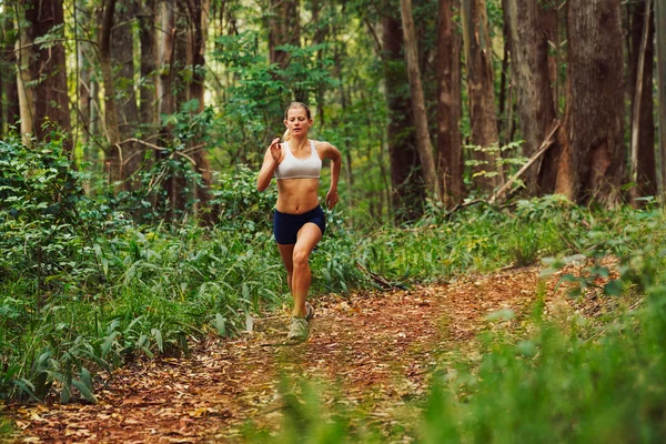 Mujer corriendo en el bosque —  Fotos de Stock