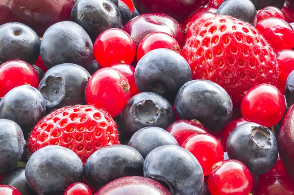 stock image Assorted berries