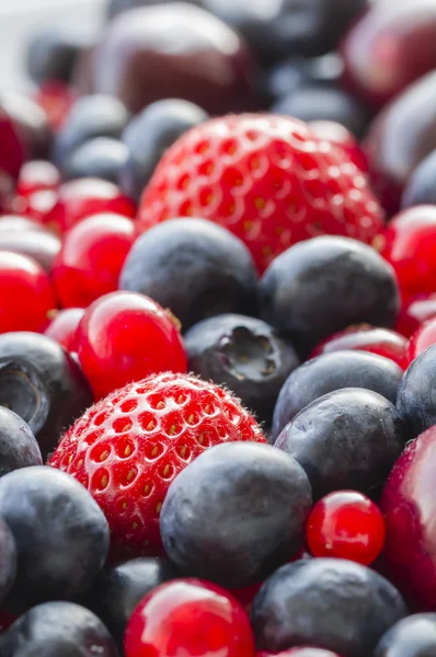 stock image Assorted berries