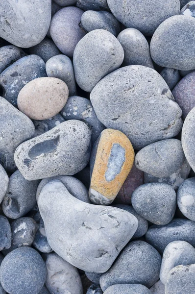 stock image Pebbles on the beach