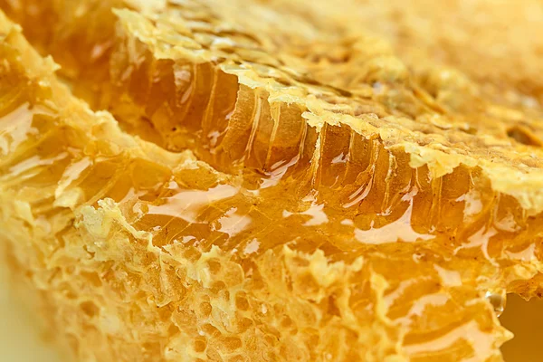 Stuk van honing — Stockfoto