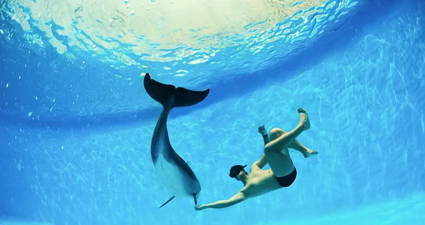 Hombre y delfín — Foto de Stock