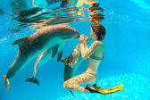 delfín a dívka