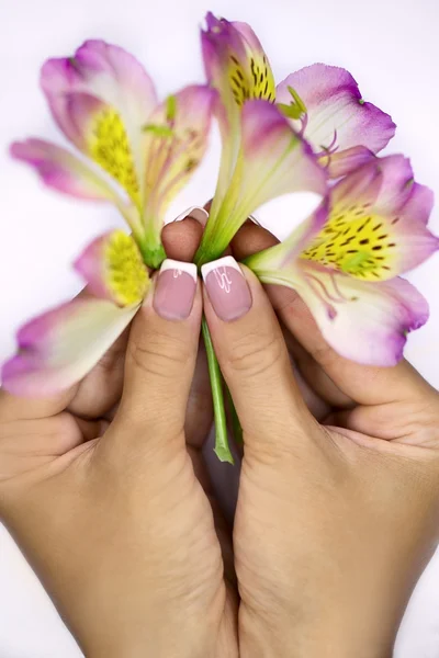 Few freesias in hands — Stock Photo, Image