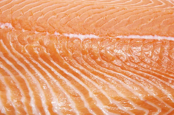 Macrofotografía carne de salmón — Foto de Stock