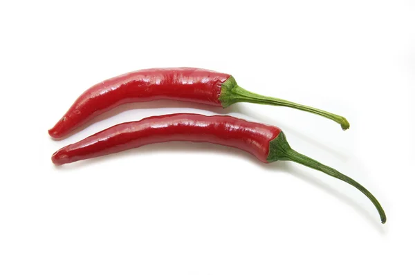 stock image Chili