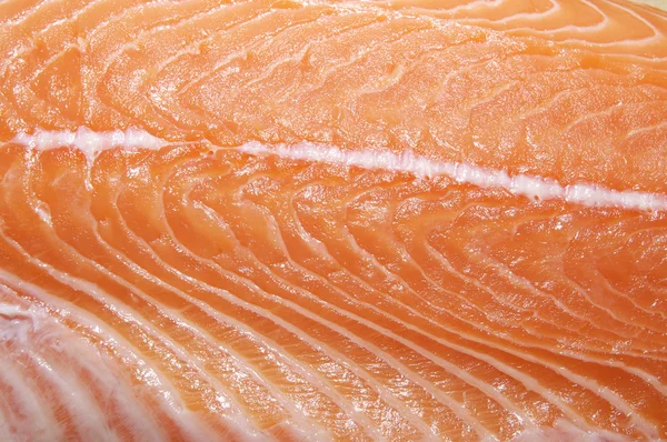 Макрофотография мяса лосося — стоковое фото