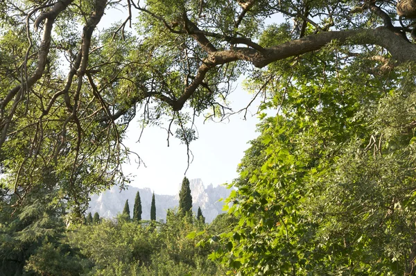 stock image Mountain Crimea in Ukraine