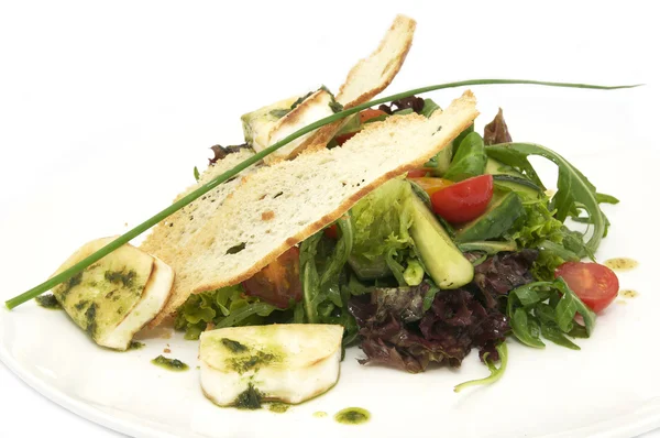 Salade met kaas en kruiden — Stockfoto