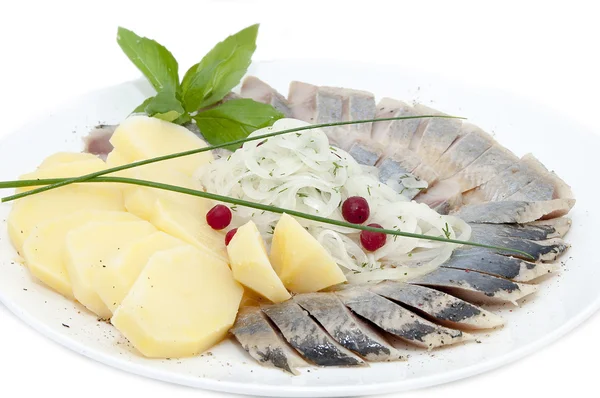 A plate of herring — Stock Photo, Image