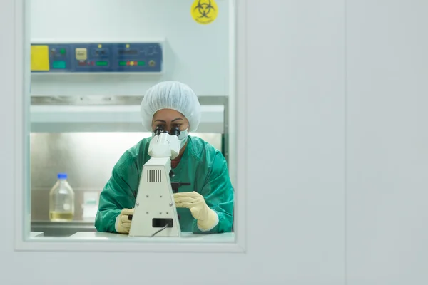 Donna al lavoro con microscopio in laboratorio biotecnologico — Foto Stock
