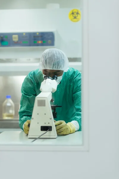 Hombre trabajando con microscopio en laboratorio de biotecnología —  Fotos de Stock