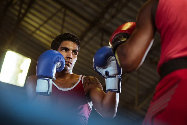 Zwei männliche Athleten kämpfen im Boxring — Stockfoto