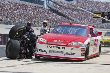 NASCAR 2012: Sprint Cup Serisi Fedex 400 yararlanan otizm otları