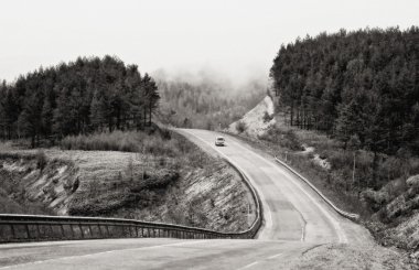 sonbahar yol.