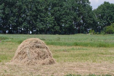 Haystack on the field clipart