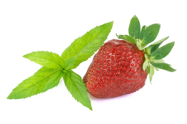 Fresh strawberries and mint — Stock Photo, Image