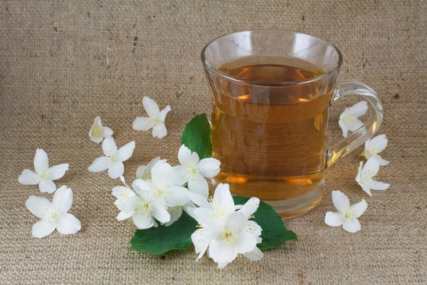 stock image Fragrant jasmine tea