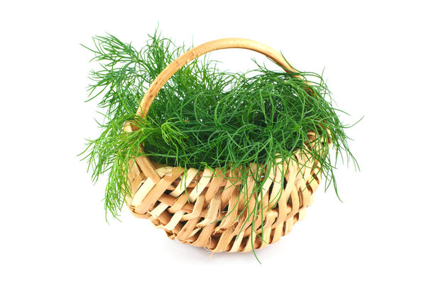 Dill in a basket isolated on white
