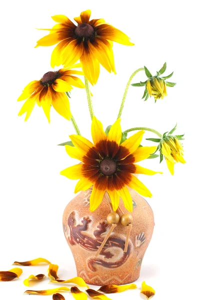 Rudbeckia flores en un jarrón de barro y pétalos caídos —  Fotos de Stock