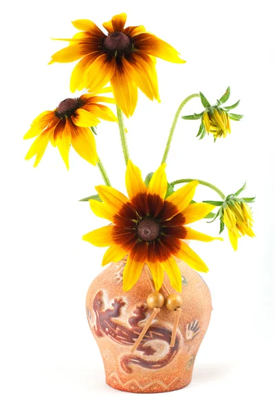 Rudbeckia flowers in a clay vase — Stock Photo, Image