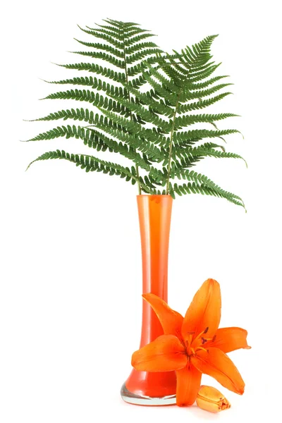 Vase with fern and orange lily — Stock Photo, Image