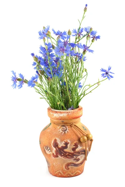 Bouquet of cornflowers in a clay vase — Stock Photo, Image