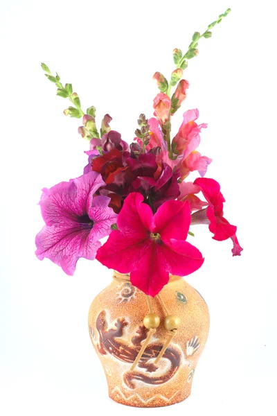 ペチュニアとキンギョソウ花瓶の花束 — ストック写真