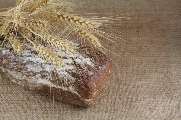 Пшеничный хлеб с колосьями — стоковое фото