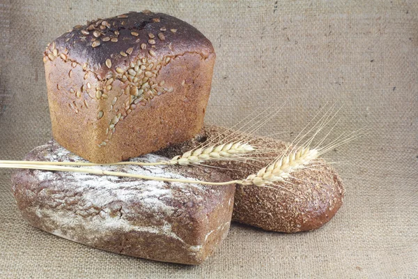 Trzy kłosy, kukurydziany chleb, a na zwolnieniu — Zdjęcie stockowe