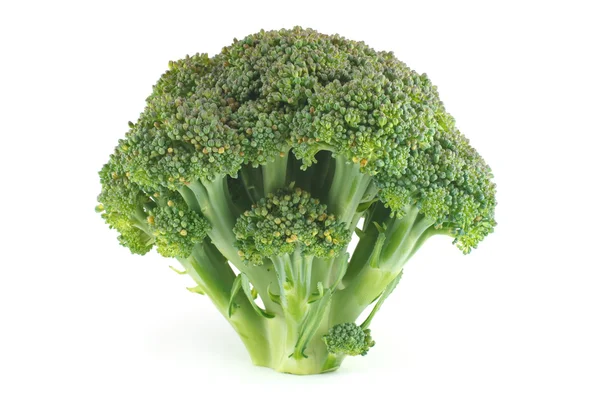 Färsk broccoli — Stockfoto