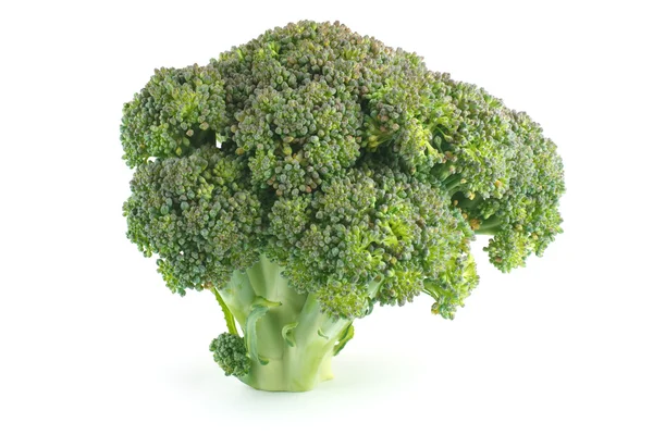 Beyaz arkaplanda izole edilmiş taze brokoli — Stok fotoğraf