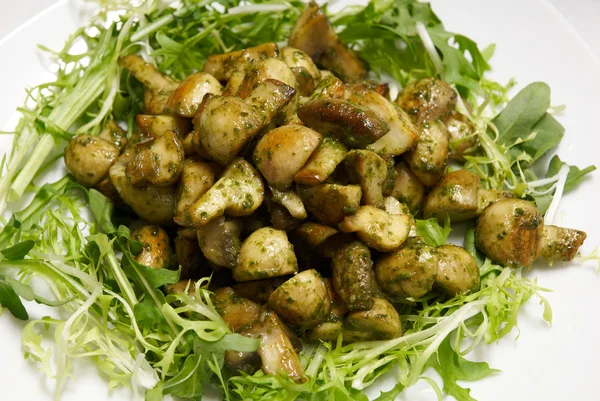 stock image Salad of mushrooms