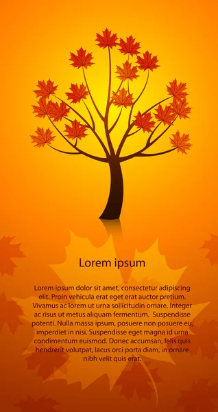 Güzel vektör sonbahar ağacı — Stok Vektör