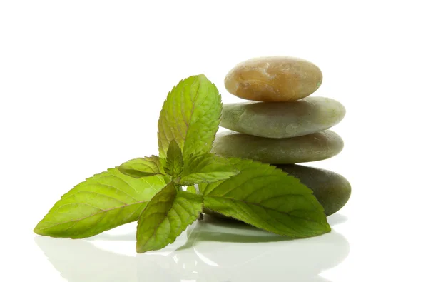 Green mint and rocks as a tower — Stock Photo, Image