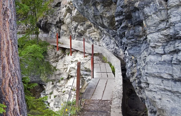 stock image Walking path in the mountains