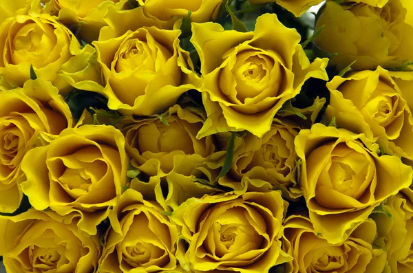 Κίτρινα τριαντάφυλλα φόντο — Φωτογραφία Αρχείου