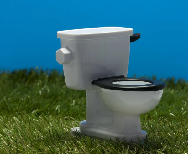 Buiten toilet in het gras — Stockfoto