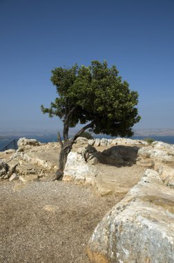 Mount Tabor