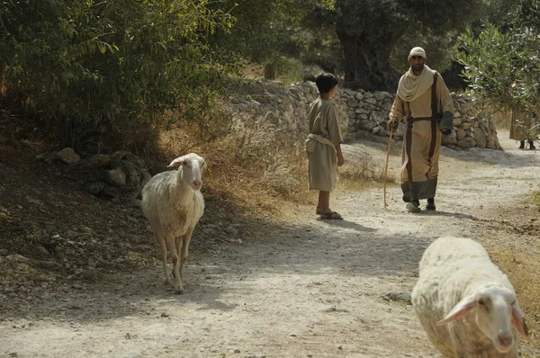 身着传统服装的牧羊人 — 图库照片