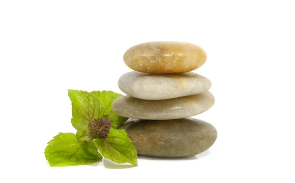 Rocks with mint — Stock Photo, Image